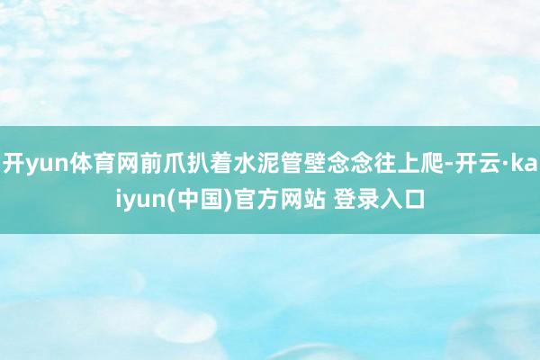 开yun体育网前爪扒着水泥管壁念念往上爬-开云·kaiyun(中国)官方网站 登录入口