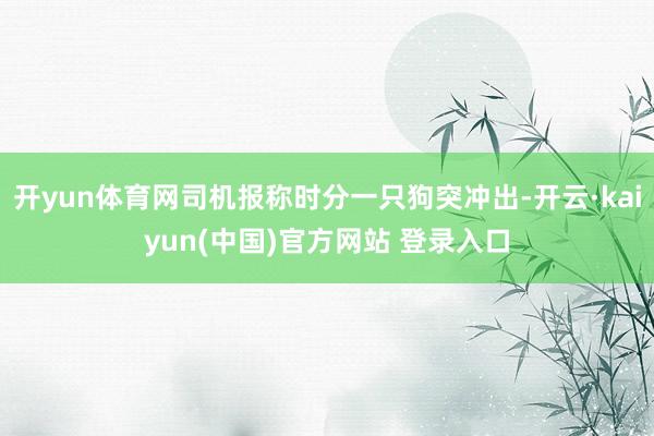 开yun体育网司机报称时分一只狗突冲出-开云·kaiyun(中国)官方网站 登录入口 开yun体育网司机报称时分一只狗突冲出-开云·kaiyun(中国)官方网站 登录入口