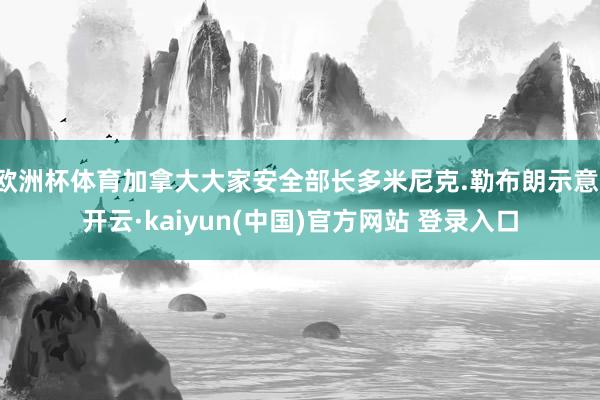 欧洲杯体育加拿大大家安全部长多米尼克.勒布朗示意-开云·kaiyun(中国)官方网站 登录入口